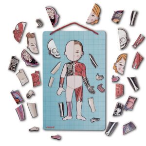 Магнітний набір;іграшки Луцьк; Ігровий магнітний набір Janod Тіло людини